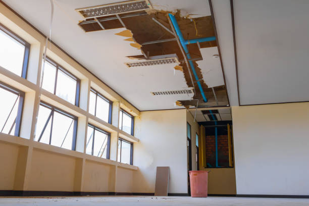 Best Water damage contractors near me  in Ladonia, AL