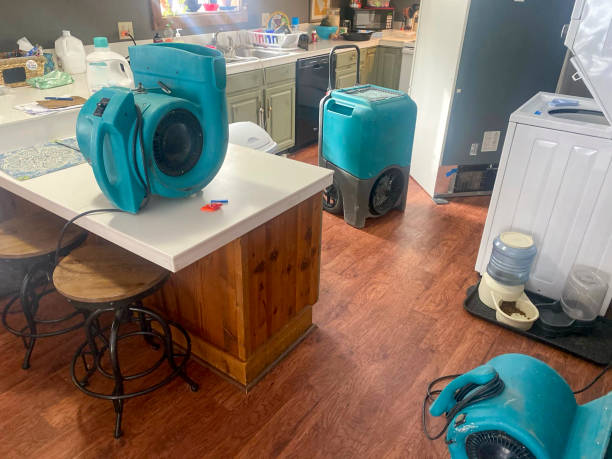  Ladonia, AL Water damage restoration Pros