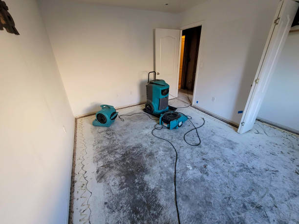 Best Water damage restoration near me  in Ladonia, AL