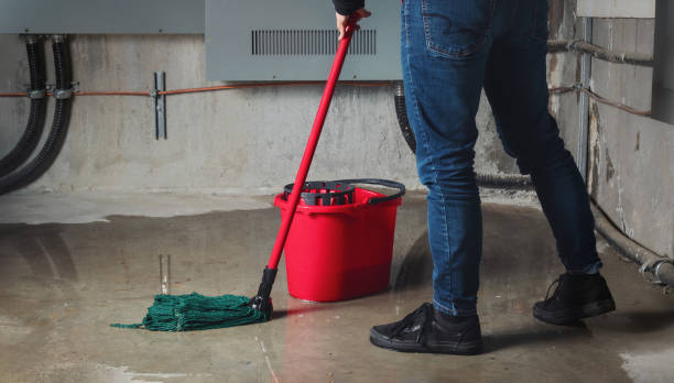 Best Flooded house restoration  in Ladonia, AL