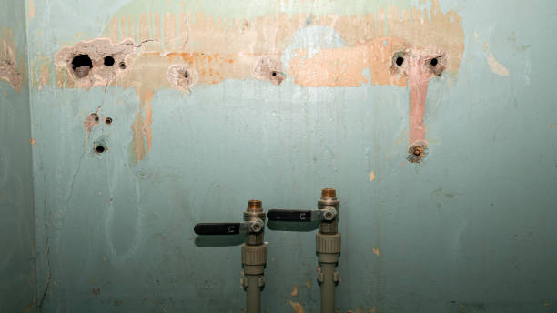 Best 24/7 water damage repair  in Ladonia, AL