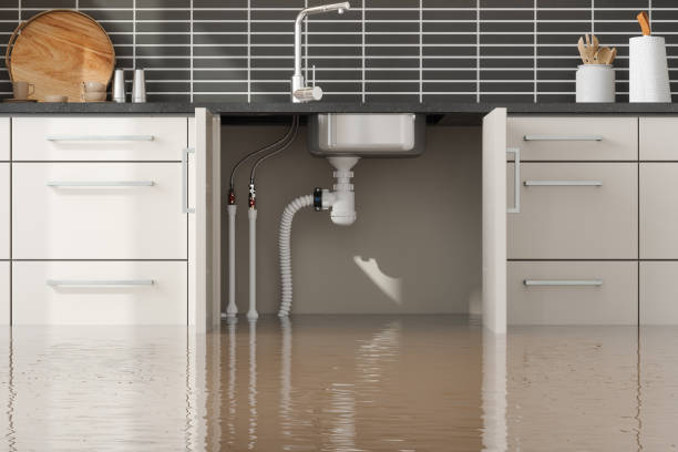 Best Water damage restoration mold remediation  in Ladonia, AL