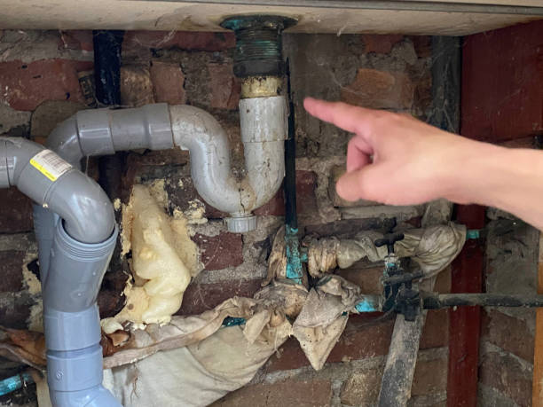 Best Residential water damage restoration  in Ladonia, AL