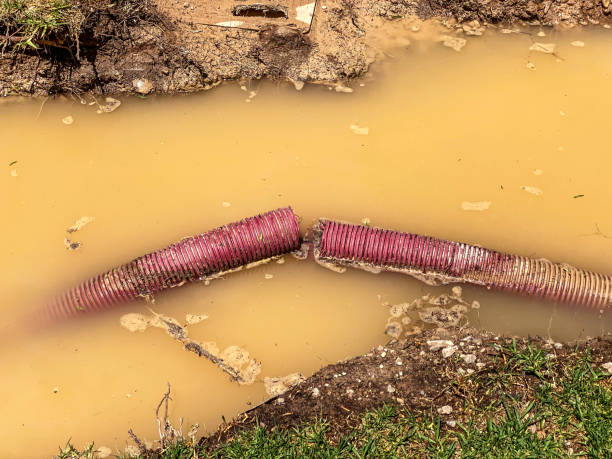 Best Emergency water extraction  in Ladonia, AL