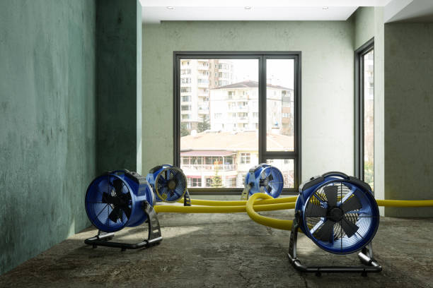 Water damage restoration mold remediation in AL