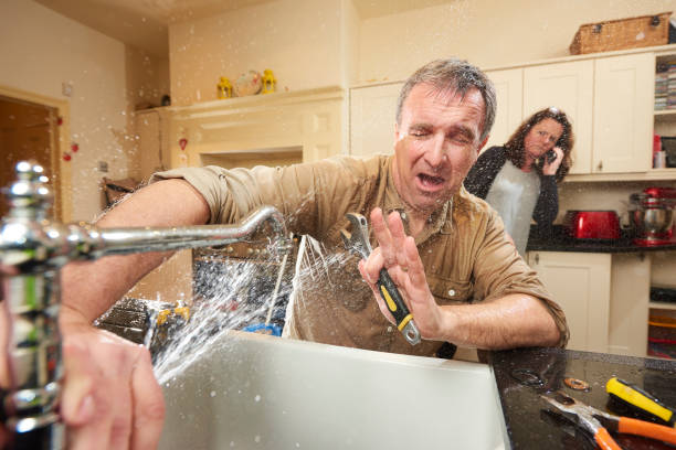Best Fire Damage Restoration  in Ladonia, AL